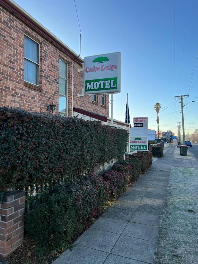 آرميدال Cedar Lodge Motel المظهر الخارجي الصورة